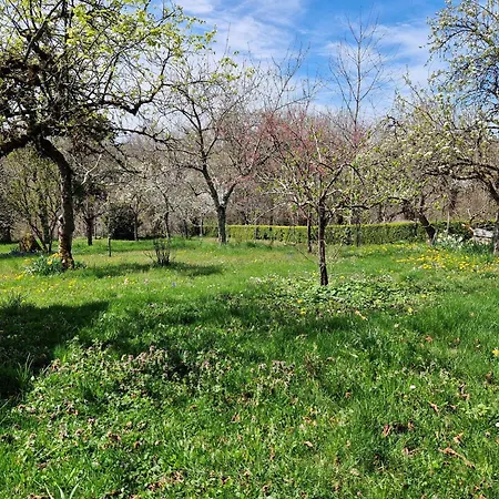 La Roque, Calme, Campagne * Saint-Amans-des-Cots