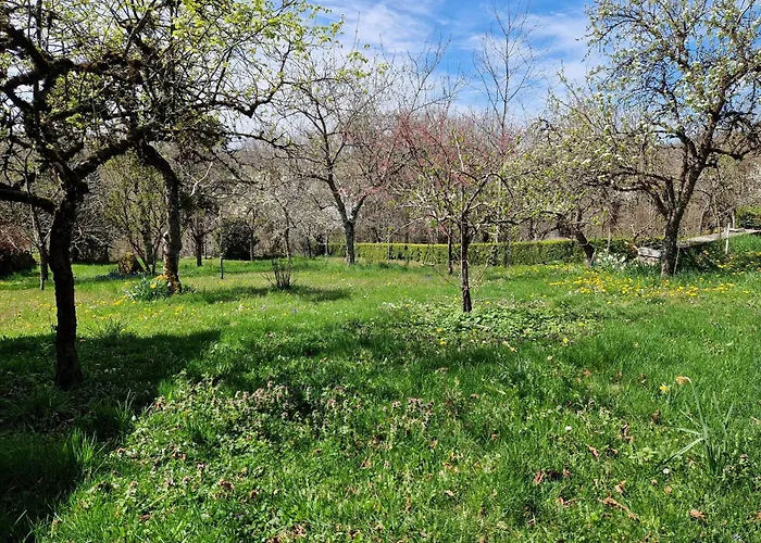 La Roque, Calme, Campagne * Saint-Amans-des-Cots